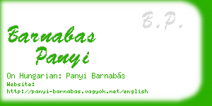 barnabas panyi business card