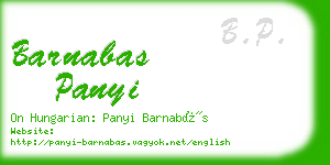 barnabas panyi business card